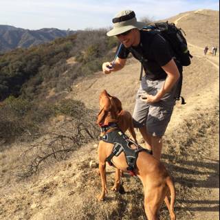 Hiking with My Four-Legged Friend