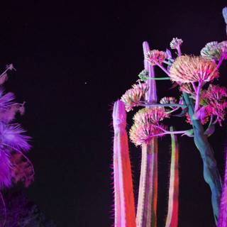 Enchanted Blooms at Night