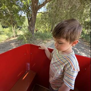 Summer Adventure in Walnut Creek