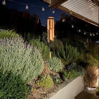 Tranquil Evening in the Garden