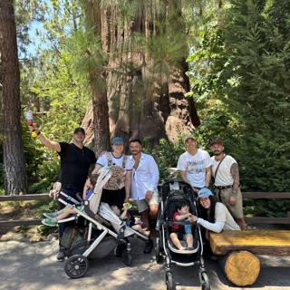 Woodland Adventure at Disney California Adventure Park
