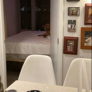 White Chair and Sleeping Dog in a Cozy Bedroom