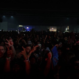 Massive Crowd Energy at Wobbleland 2026 Festival
