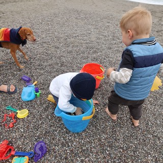 Toddlers Playing with Beach Toys on Pebble Shore