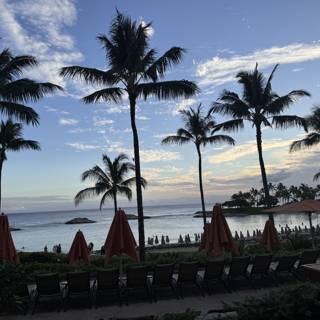 Tranquil Tropics at Twilight