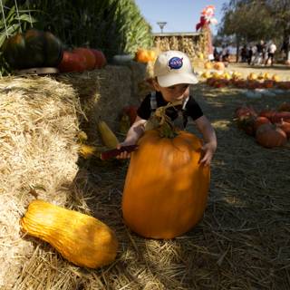A Day at the Pumpkin Patch