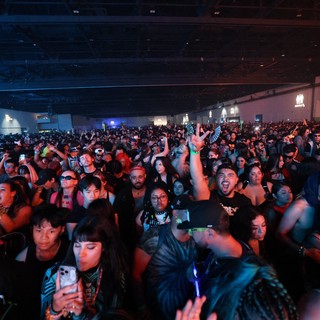 Massive Crowd Surges at Wobbleland 2026 Festival