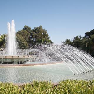 Serene fountain in the heart of the park