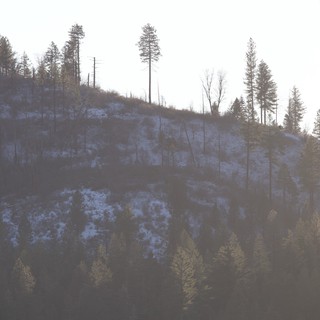 Winter Hillside with Power Lines and Sparse Snow