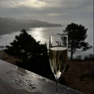 Ocean View Champagne Toast