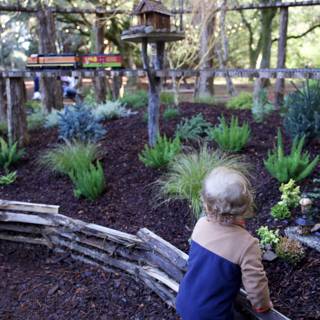 A Child's Wonder in the Garden