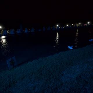Nighttime Ducks on the Water