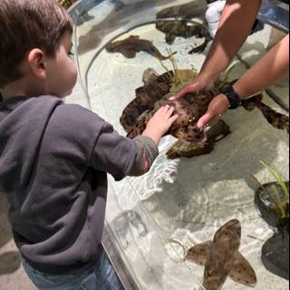 Touching the Wonders of the Sea
