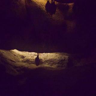 Enlightened Cave of Wonders