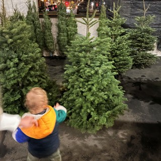 Urban Christmas tree market