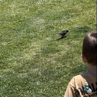 Curious Encounters