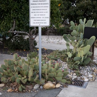 Private Property Parking Sign with Desert Landscaping
