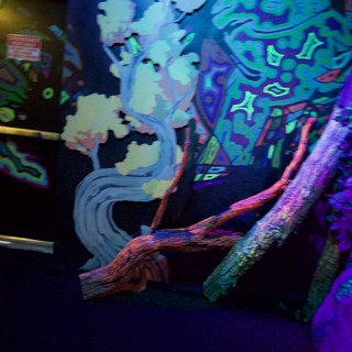art-gallery-or-immersive-art-installation-venue
