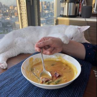 Soup and a Feline Companion