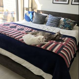 Feline Friends on a Cozy Bed