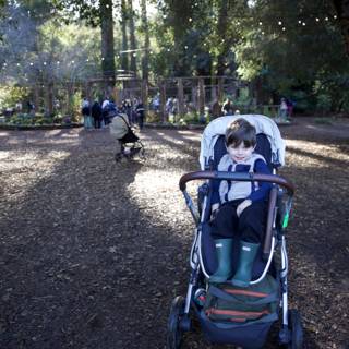 botanical-garden-historic-estate-park