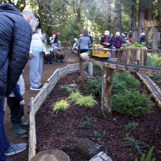 Woodland Adventure at Thistlewyck