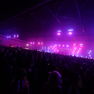 Massive Indoor Crowd Bathed in Purple Concert Lights