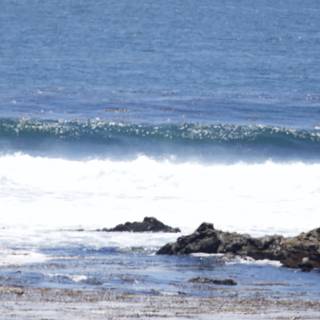 Whispering Waves of Cayucos