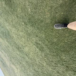 Strolling Over Spring Turf
