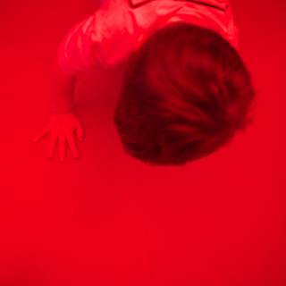 Red Maze of Wonder