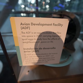 Avian Development Facility Exhibit at Space Museum