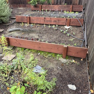 Tiered Raised Garden Beds Against Weathered Fence