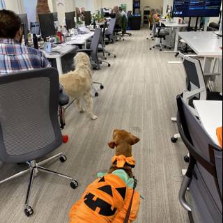 Office Halloween Costume Party