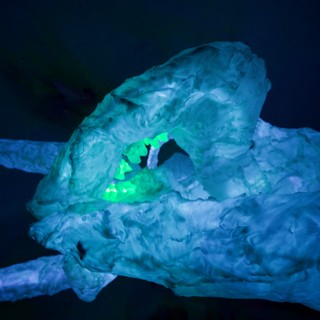 ice-cave-or-glacier-exhibit
