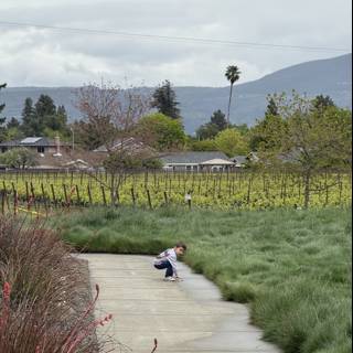 Exploring Nature's Pathway