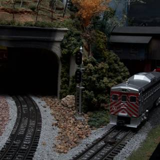 Miniature Train on the Tracks