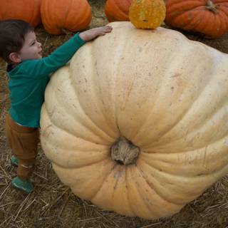 Giant Wonders of the Harvest