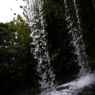 Jungle Waterfall Escape