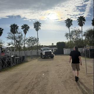 Strolling Under Palm Skies