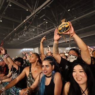 Energetic Crowd Erupts at Wobbleland 2026 Festival