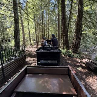 Journey Through the Redwood Grove