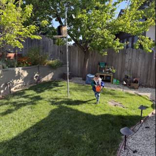 Springtime Adventures in the Backyard