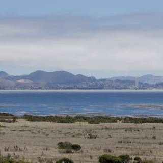 Coastal Serenity in Cayucos