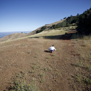 Child Explores Vast Hillside on Mount Diablo