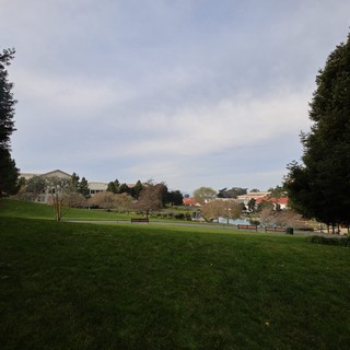 Tranquil Park Grounds at Skywalker Ranch Estate