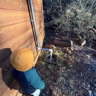 Child Watches Water Flow from Downspout Drain
