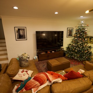 Cozy Christmas Living Room with Decorated Tree