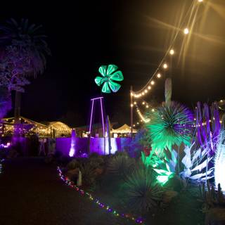 Enchanted Evenings at Ruth Bancroft Garden