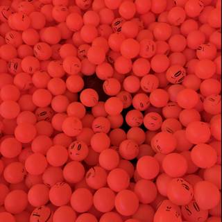 Faces in the Crowd