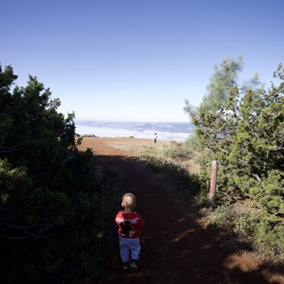 Young Explorer Gazes Above the Clouds at Summit